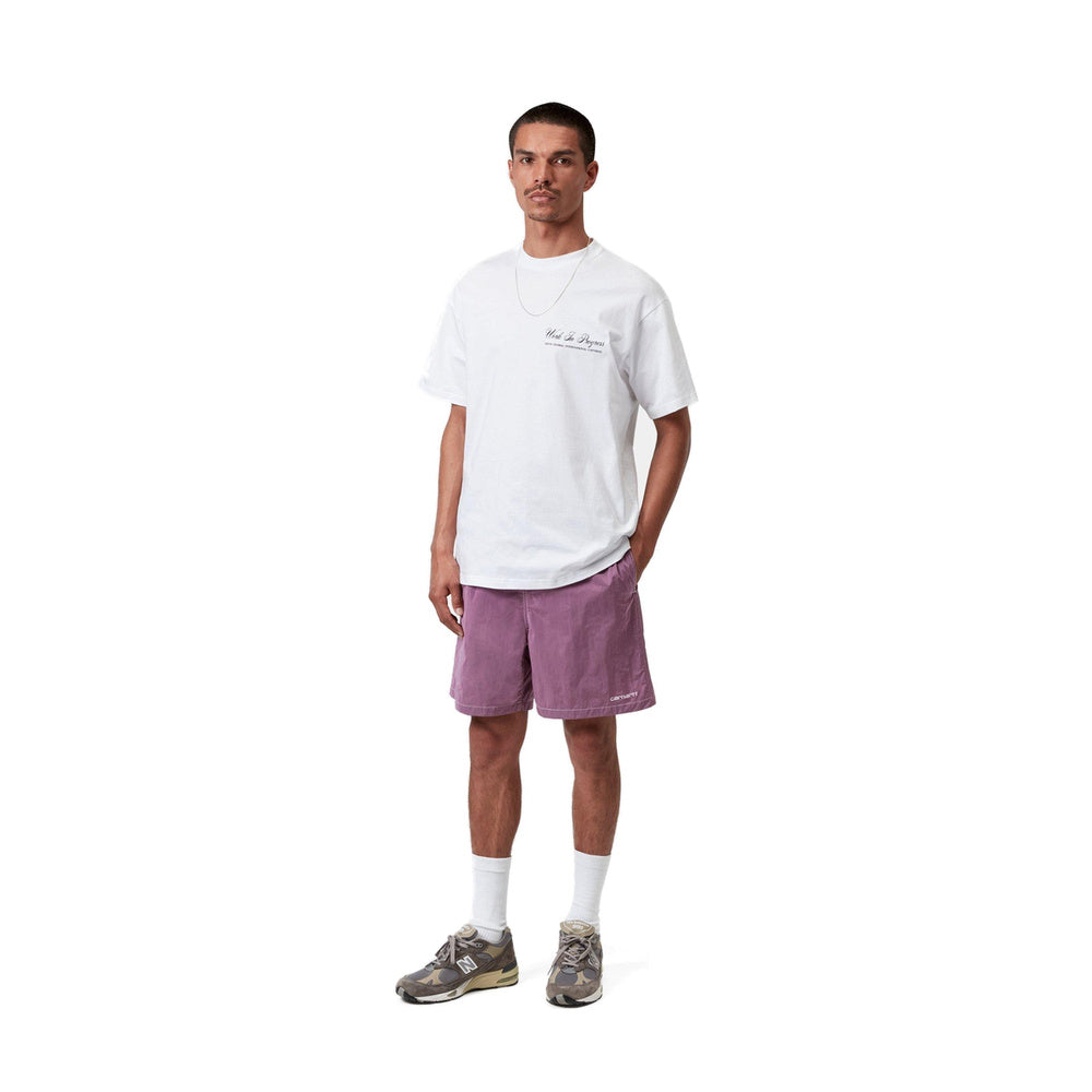 Costume da bagno Carhartt WIP Canby Swim Trunks Gentle Purple / White – indossato figura intera