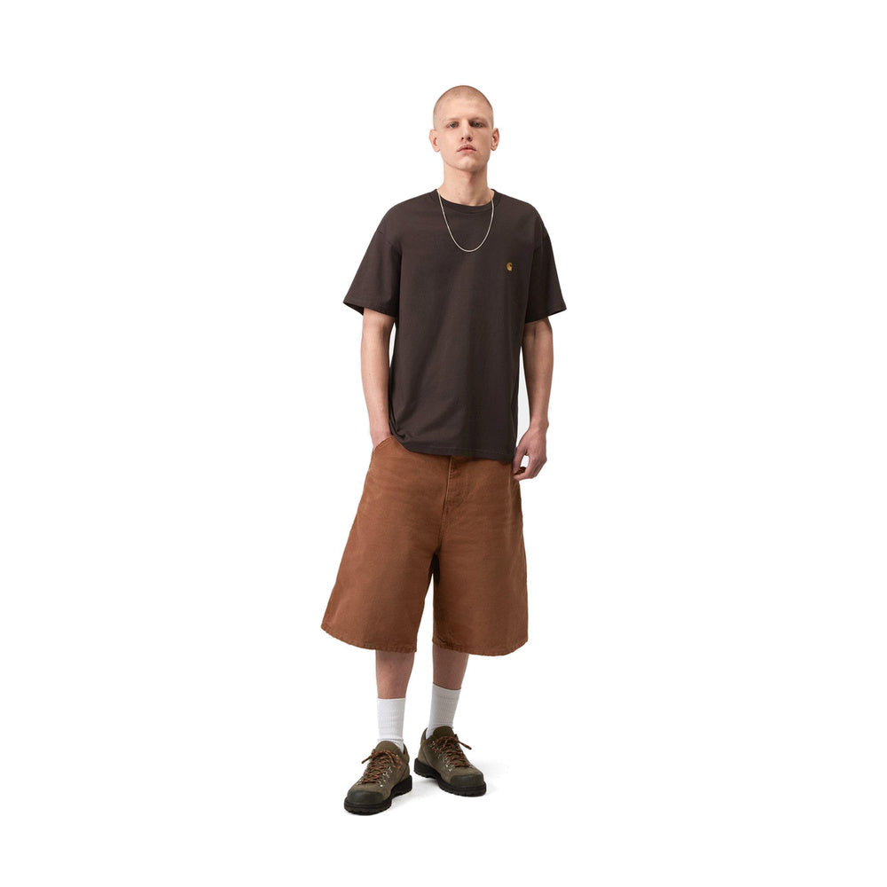 T-shirt Carhartt WIP S/S Chase T-Shirt Shale / Gold – indossata figura intera