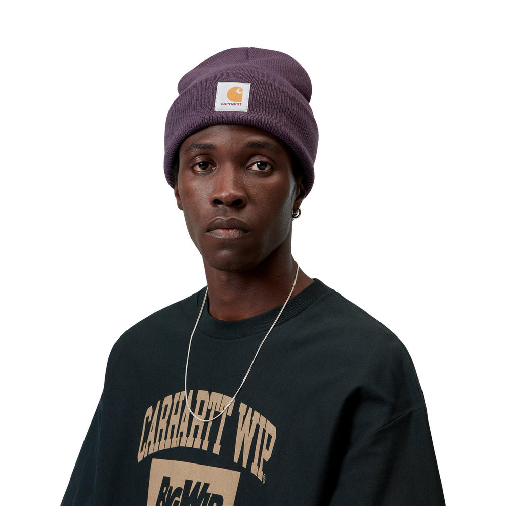Berretto Carhartt WIP Short Watch Hat Cozy Purple – indossato