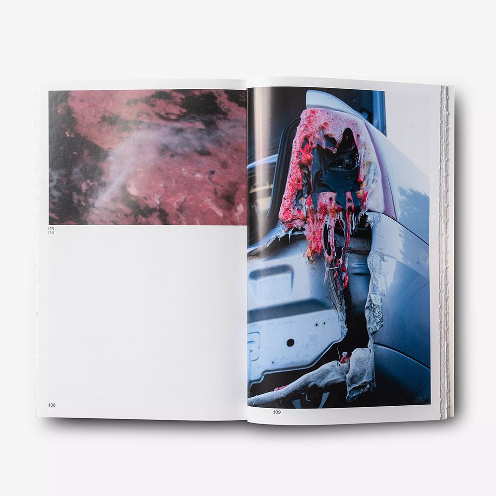 Libro Carhartt WIP Sedimental Works Book – pagine interne